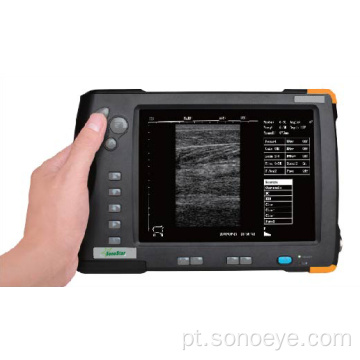 Ultrassonografia de palmeira de ultrassom animal